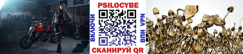 даркнет сайт  Урень  Галлюциногенные грибы MAGIC MUSHROOMS 
